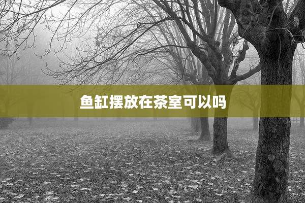 鱼缸摆放在茶室可以吗