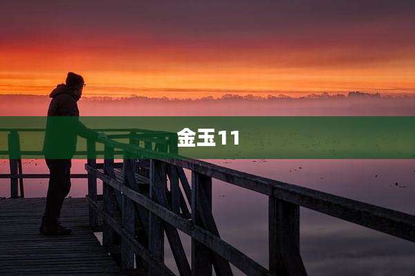 金玉11