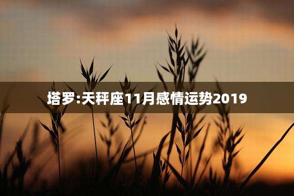 塔罗:天秤座11月感情运势2019