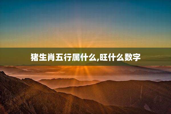猪生肖五行属什么,旺什么数字