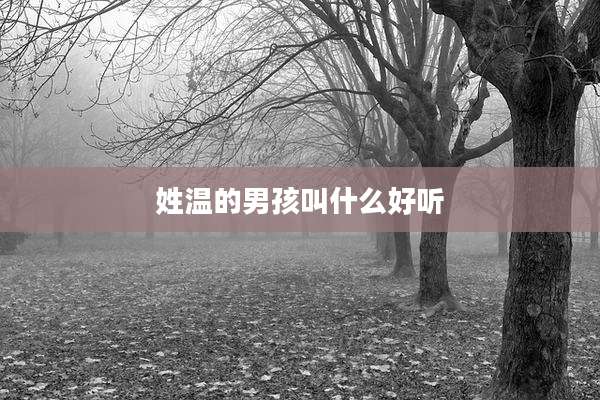 姓温的男孩叫什么好听