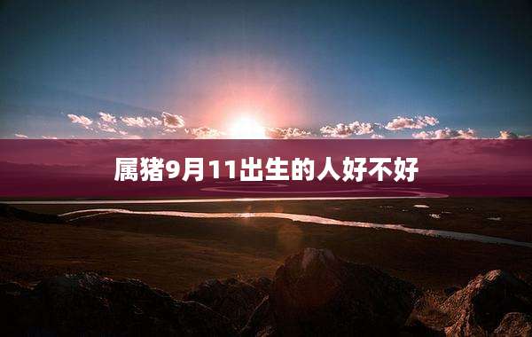 属猪9月11出生的人好不好