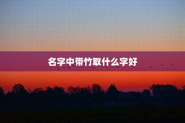 名字中带竹取什么字好