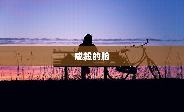 成毅的脸