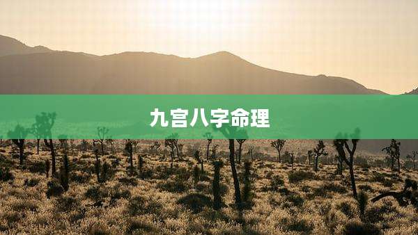九宫八字命理