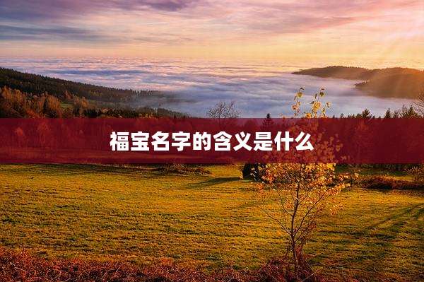 福宝名字的含义是什么