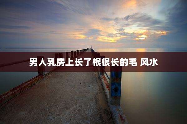 男人乳房上长了根很长的毛 风水
