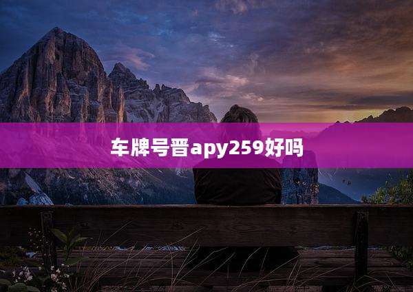 车牌号晋apy259好吗