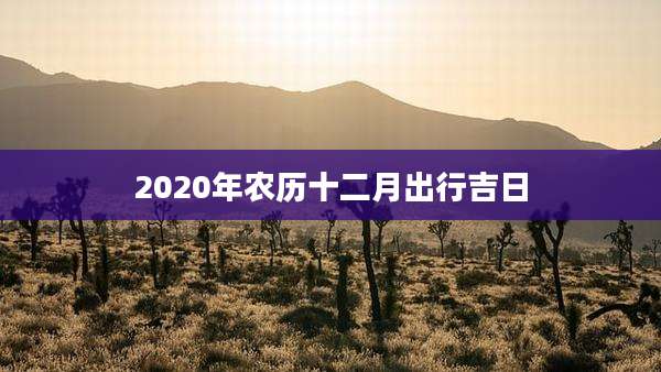 2020年农历十二月出行吉日