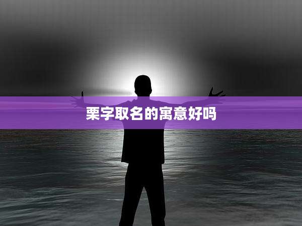 栗字取名的寓意好吗