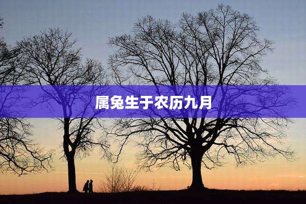 属兔生于农历九月