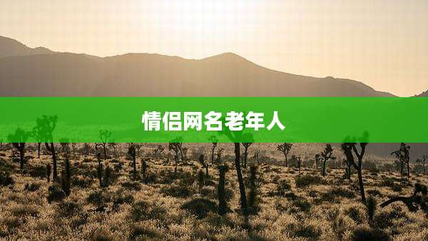 情侣网名老年人