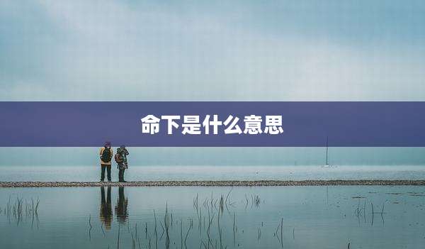 命下是什么意思