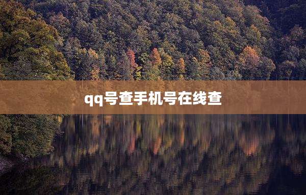 qq号查手机号在线查