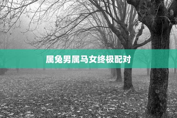 属兔男属马女终极配对