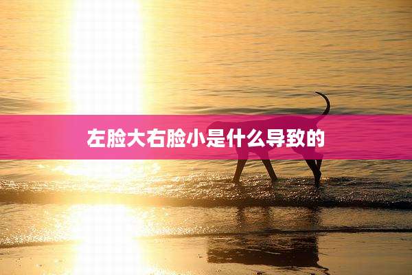 左脸大右脸小是什么导致的