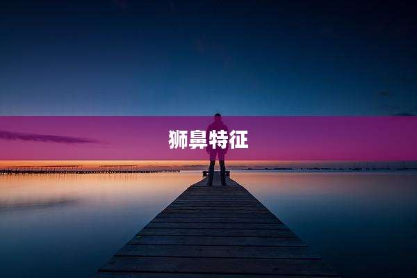 狮鼻特征