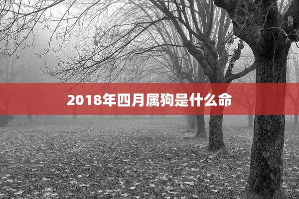 2018年四月属狗是什么命