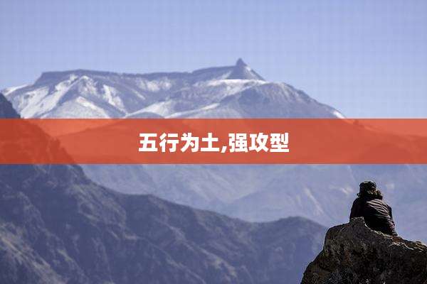 五行为土,强攻型