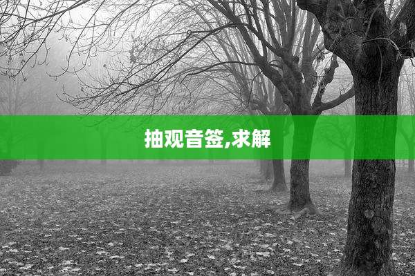 抽观音签,求解