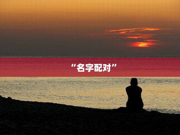 “名字配对”