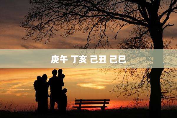 庚午 丁亥 己丑 己巳