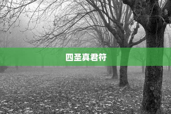 四圣真君符