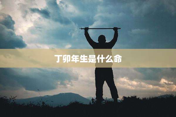 丁卯年生是什么命