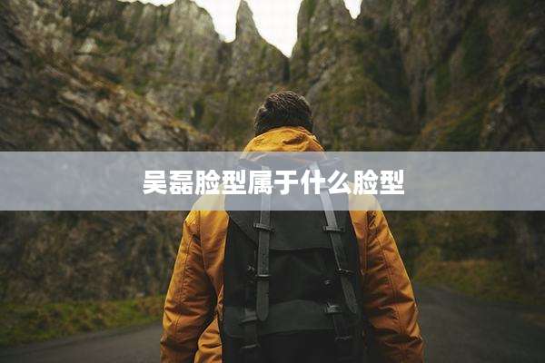吴磊脸型属于什么脸型