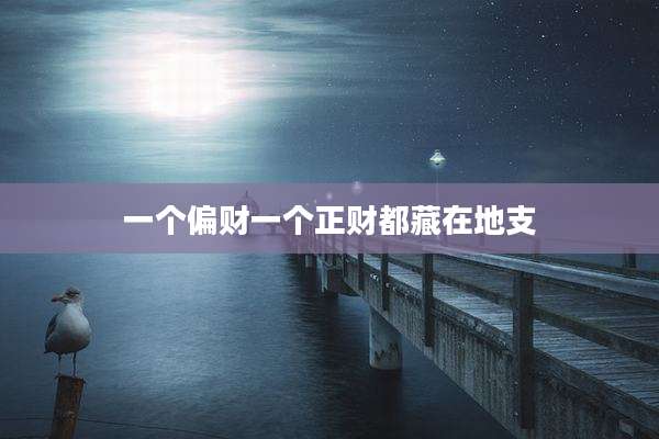 一个偏财一个正财都藏在地支