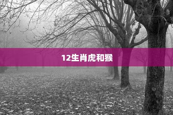 12生肖虎和猴