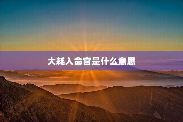 大耗入命宫是什么意思