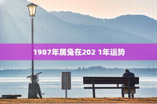 1987年属兔在202 1年运势