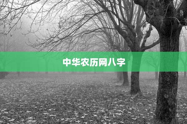 中华农历网八字