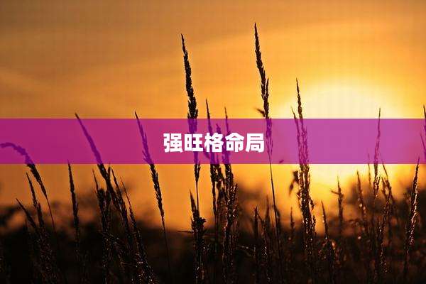 强旺格命局