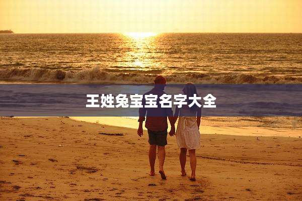 王姓兔宝宝名字大全