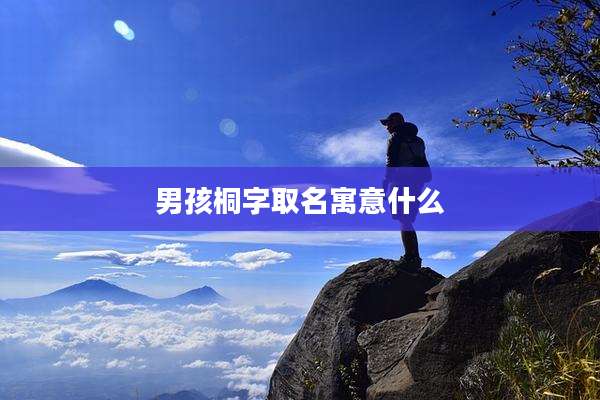 男孩桐字取名寓意什么