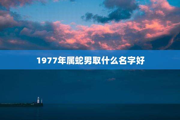 1977年属蛇男取什么名字好