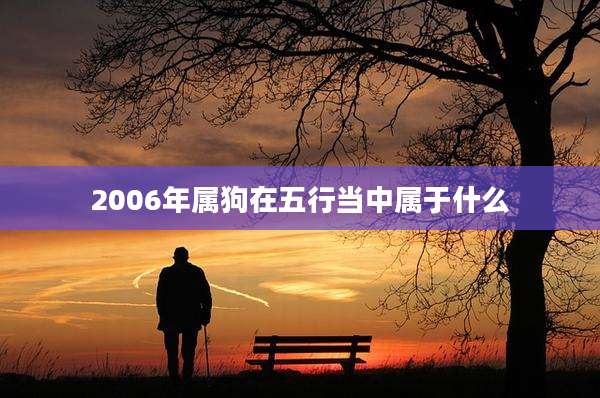 2006年属狗在五行当中属于什么