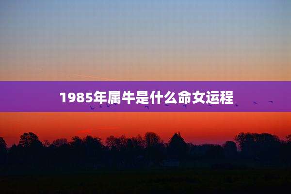 1985年属牛是什么命女运程