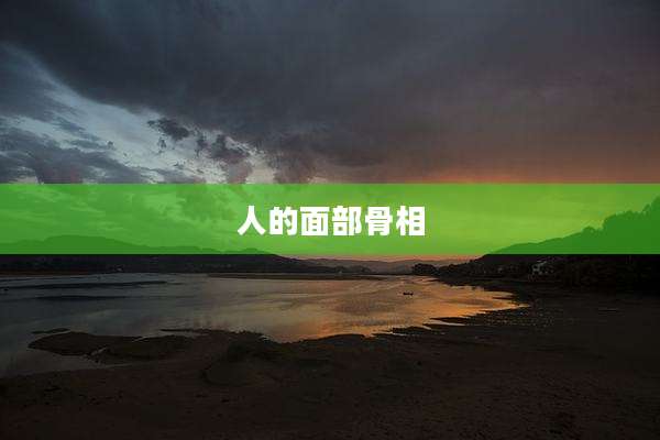人的面部骨相