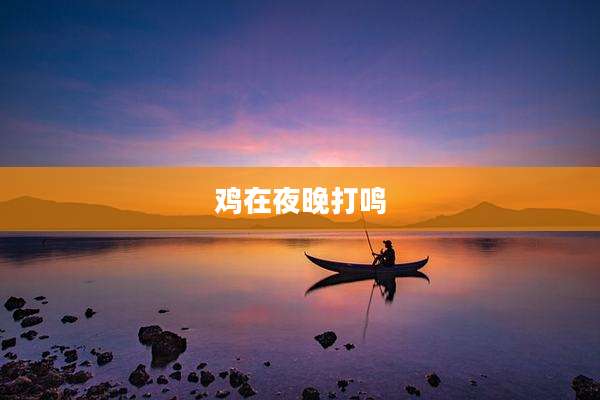 鸡在夜晚打鸣