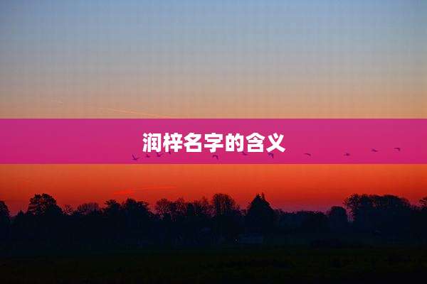 润梓名字的含义