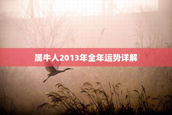 属牛人2013年全年运势详解