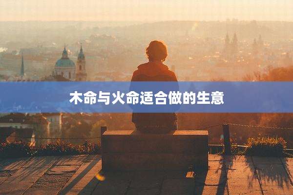 木命与火命适合做的生意