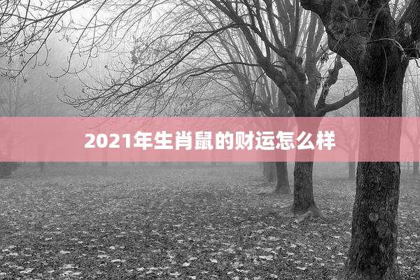 2021年生肖鼠的财运怎么样