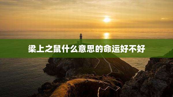 梁上之鼠什么意思的命运好不好