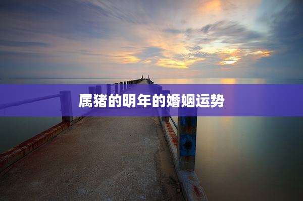 属猪的明年的婚姻运势