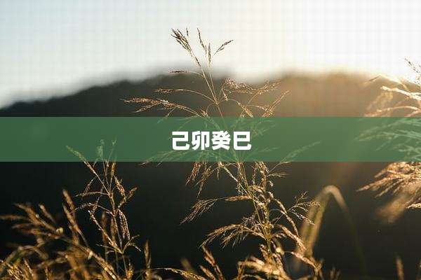 己卯癸巳