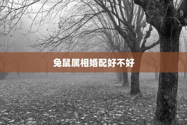 兔鼠属相婚配好不好